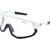 Lunettes de soleil Freewheel