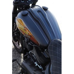Cache de console centrale pour Harley