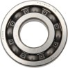 Main Crankshaft Bearing and Seal Kit