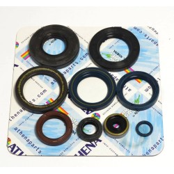 Engine Oil Seal