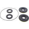 Differential Seal Kit