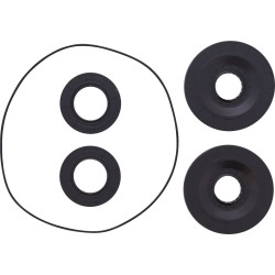 Differential Seal Kit