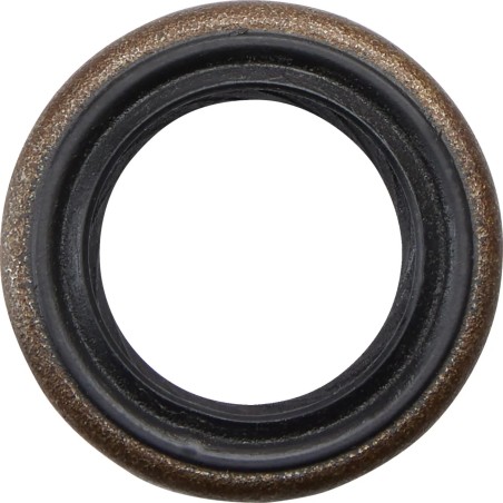 Shifter Shaft Seal