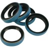 Main Drive Gear Seal Kit