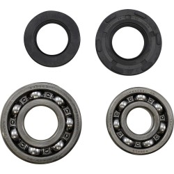 Main Bearing and Seal Kit