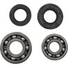 Main Bearing and Seal Kit