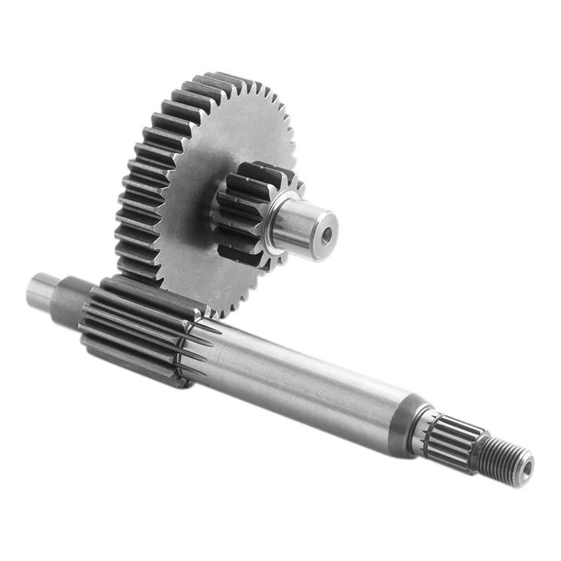 Pignon d'entraînement