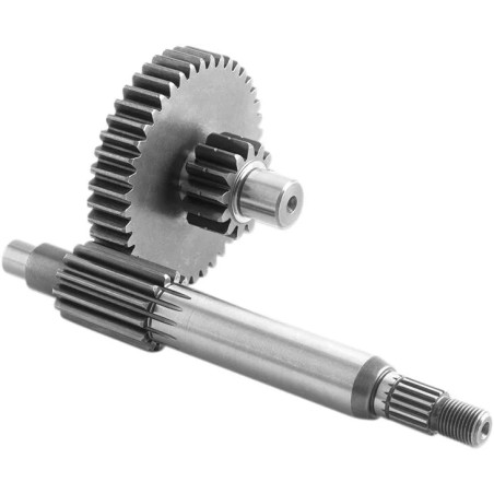 Pignon d'entraînement