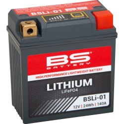 Lithium LiFePO4 Battery
