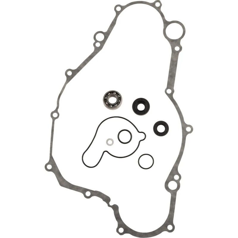 Water Pump Rebuild Kit