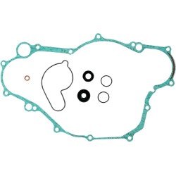 Water Pump Repair Gasket Kit