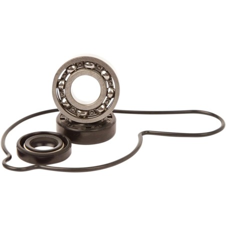 Water Pump Repair Kit