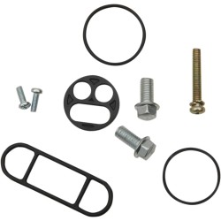 Fuel Petcock Rebuild Kit