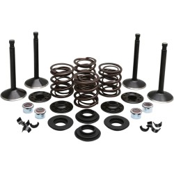 Engine Valve Kit