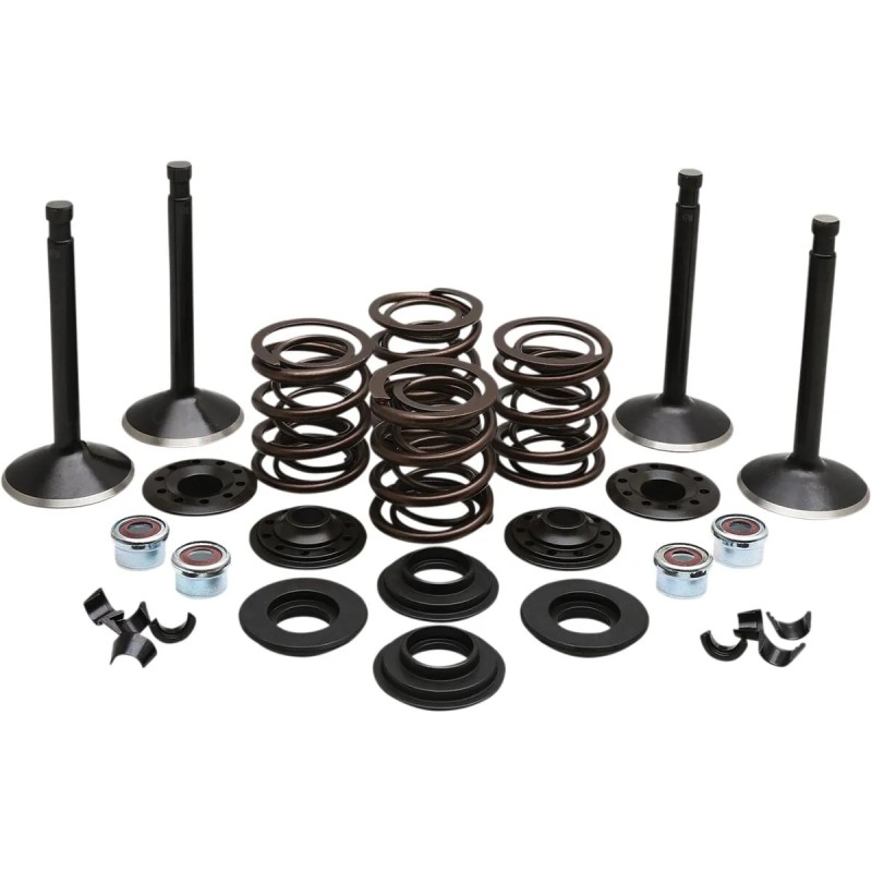Engine Valve Kit