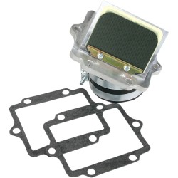 Ensemble cage à clapets Rad Valve