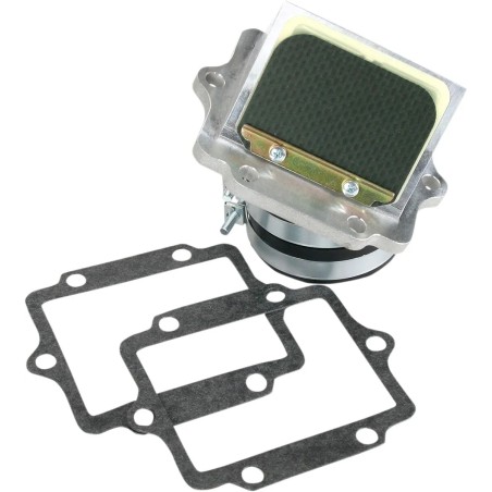 Ensemble cage à clapets Rad Valve