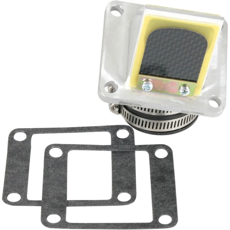 Ensemble cage à clapets Rad Valve