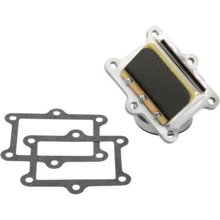 Ensemble cage à clapets Rad Valve