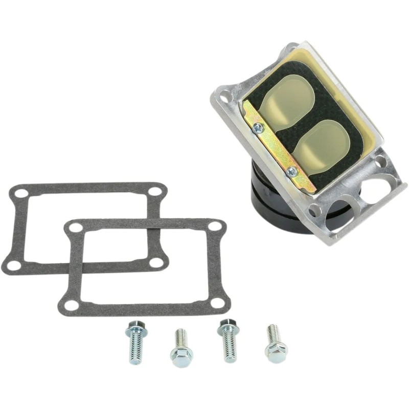 Ensemble cage à clapets Rad Valve