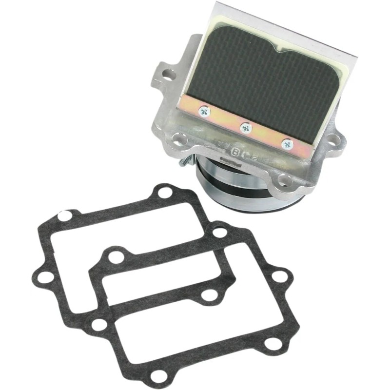 Ensemble cage à clapets Rad Valve