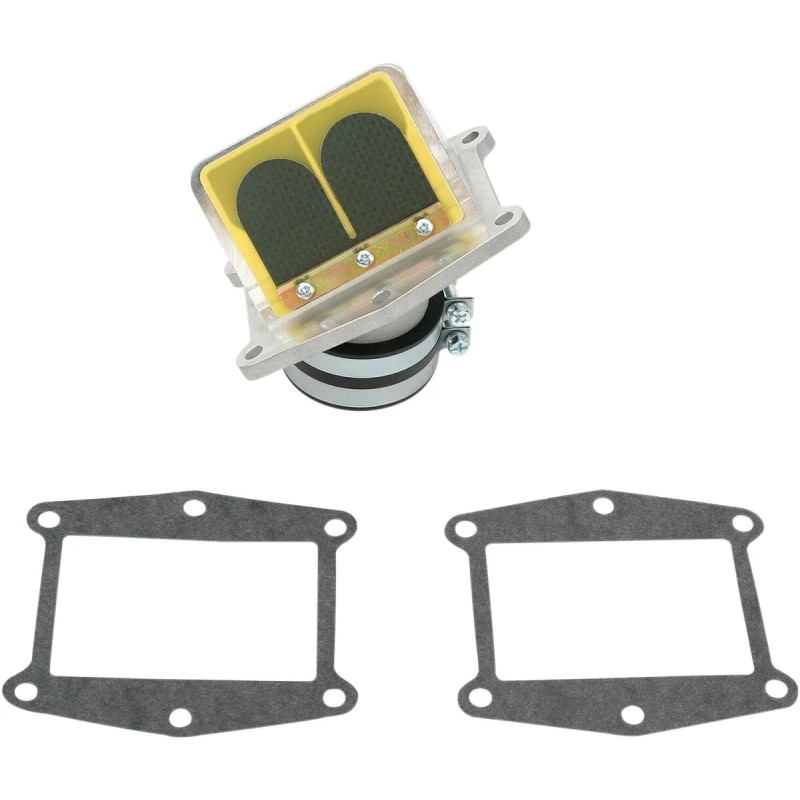 Ensemble cage à clapets Rad Valve