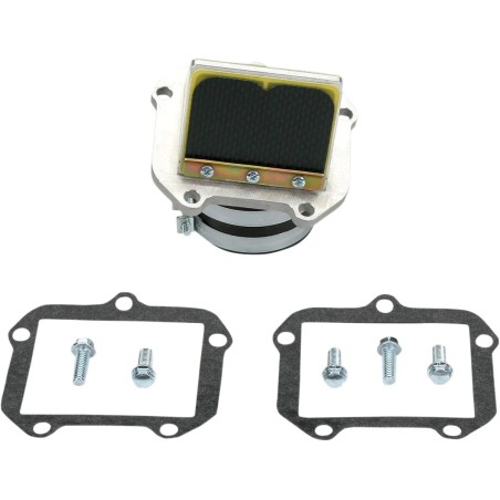 Ensemble cage à clapets Rad Valve