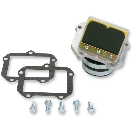 Ensemble cage à clapets Rad Valve