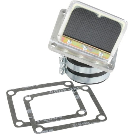 Ensemble cage à clapets Rad Valve