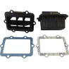 V-Force 3 Reed Valve Set