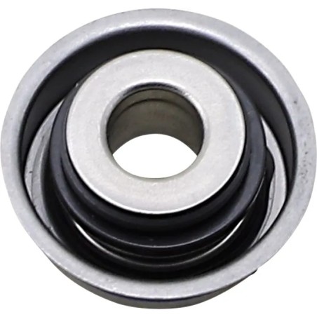 Water Pump Seal