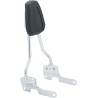 Sissy Bar Harley Davidson