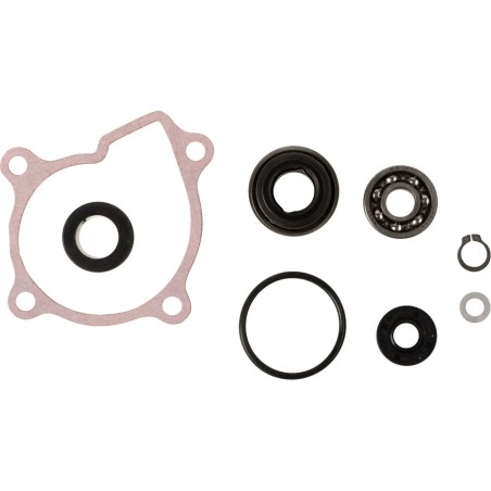 Water Pump Rebuild Kit