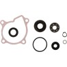 Water Pump Rebuild Kit