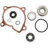 Water Pump Rebuild Kit