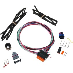 Twin Cam Ignition Harness