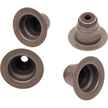 Valve Guide Seals
