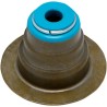 Valve Seal