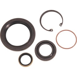 Main Drive Gear Seal Kit