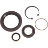 Main Drive Gear Seal Kit