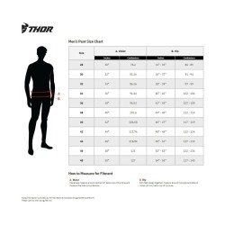 Assist Shorts Liner