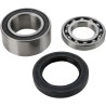 Chain Case Bearing and Seal Kit