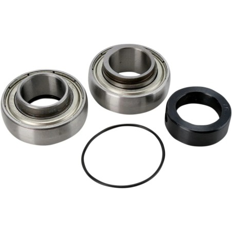 Chain Case Bearing and Seal Kit