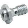 Replacement Air Cleaner Breather Screw