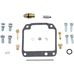 Carburetor Repair Kit