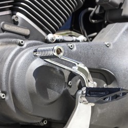 Speedway Shifter Peg