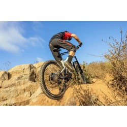 Intense Assist Shorts