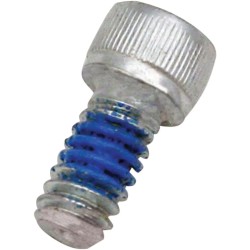 Replacement Air Cleaner Screw