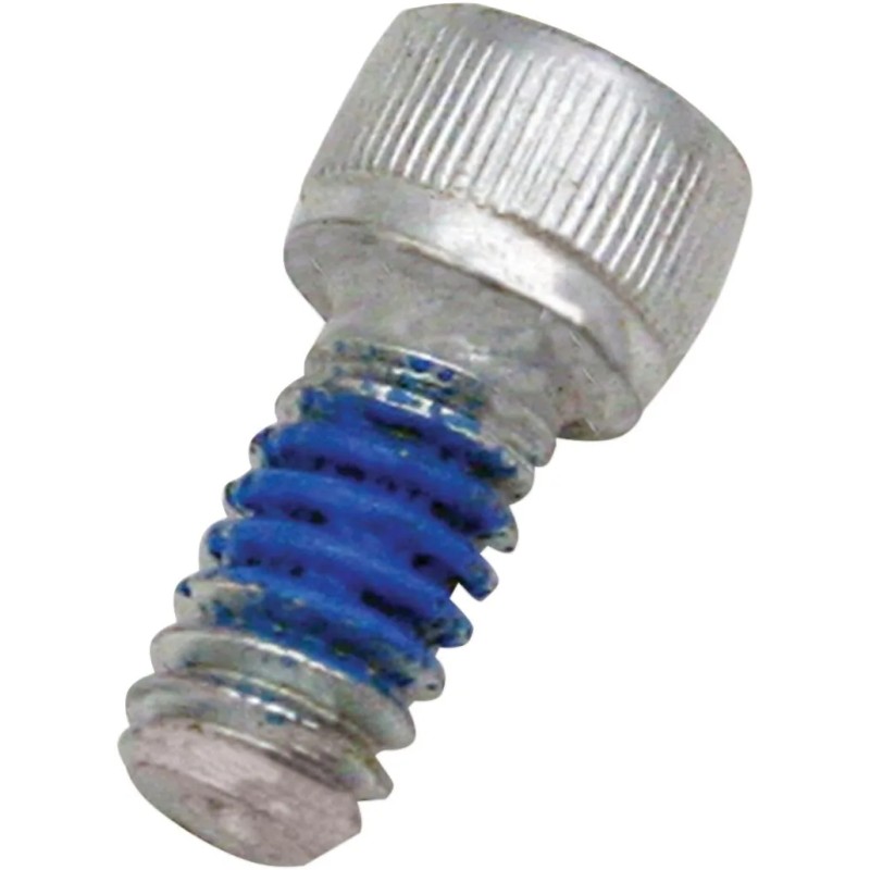 Replacement Air Cleaner Screw