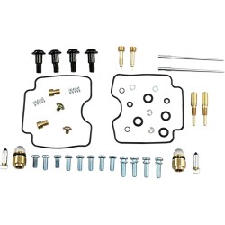 Carburetor Repair Kit